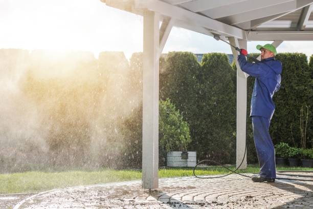 Animal Enclosure Cleaning in Campti, LA