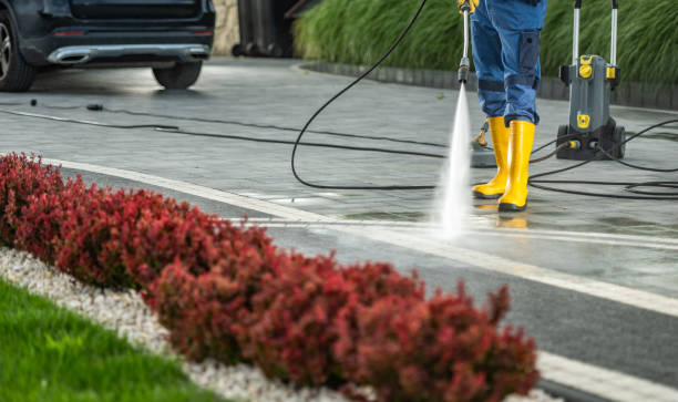 Best Sidewalk and Walkway Cleaning  in Campti, LA